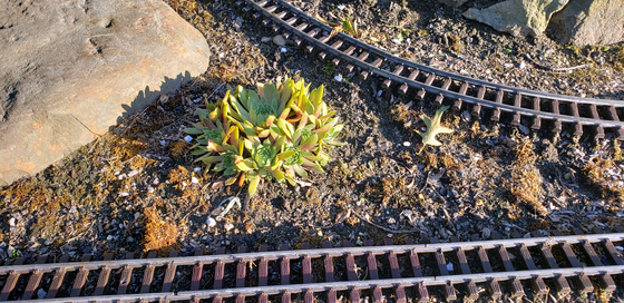 Garden_Railroad/00243.jpg